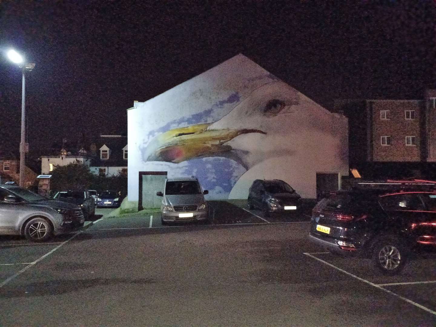 We pulled up in the car park next to Lidl in Folkestone, where artist Leigh Mulley's seagull mural adorns the wall on the back of the old Metronome theatre