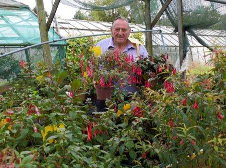 George Puddefoot, 78, surrounded by some of the 6,400 species of fuchsia he and his wife, Nellie, have gathered.