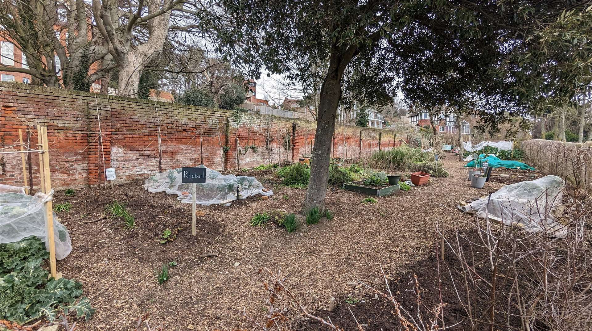 The Sandgate Society hopes the community garden will be maintained once Saga leaves