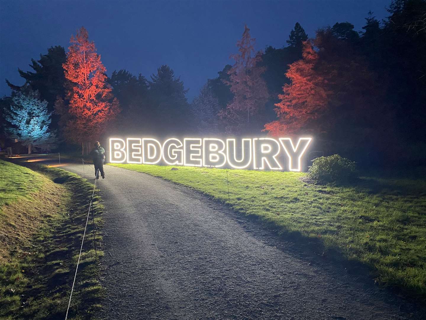 This is the sixth year of Christmas at Bedgebury
