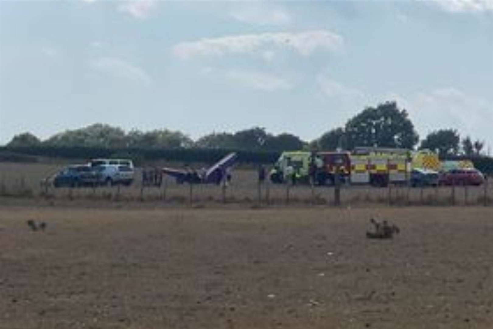 Emergency services at the scene at Harringe Court Farm last year. Picture: Liz Kerr