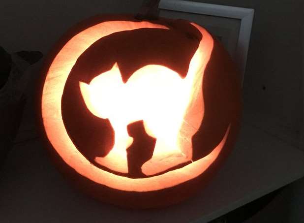 Feline spooky? Danny Burke and family are...