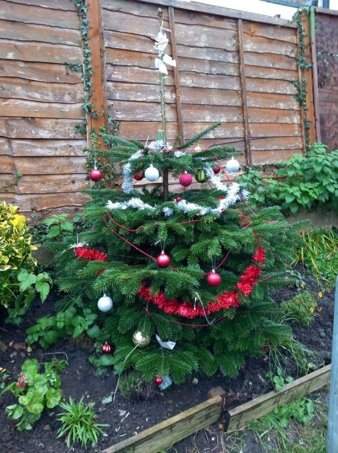 A neighbour redecorated the tree
