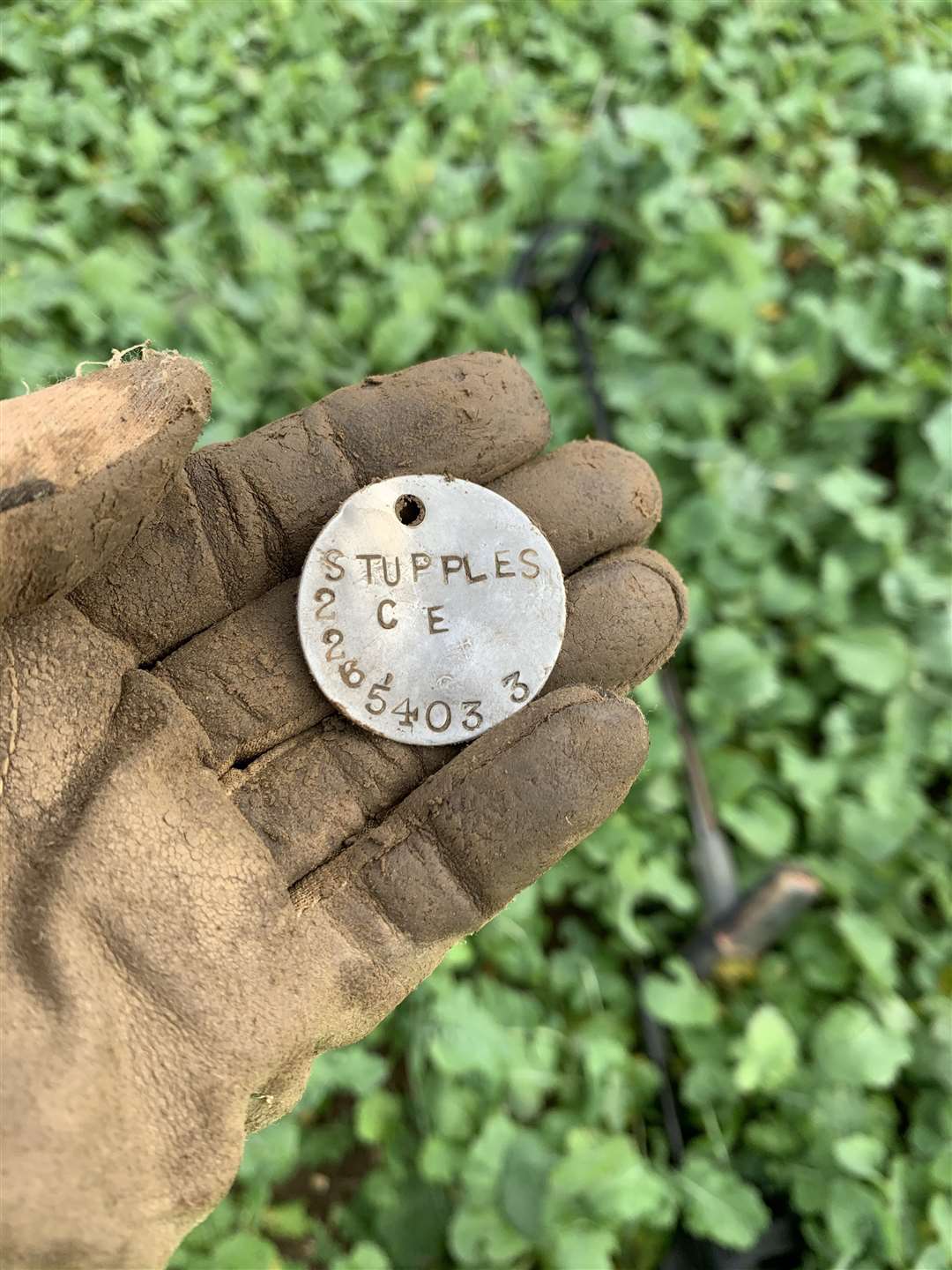 Emma Pierce's XP Deus metal detector found this military dog tag under a cabbage leaf in a field in Shepherdswell