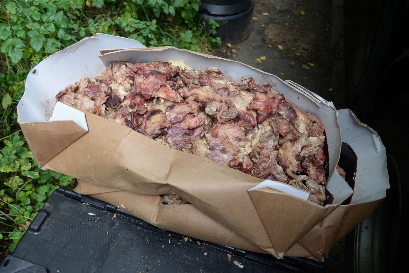 Rotting meat and vegetables have been dumped