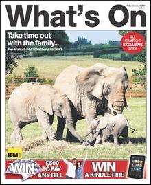 A herd of elephants at Howletts Wild Animal Park feature on this week's What's On cover