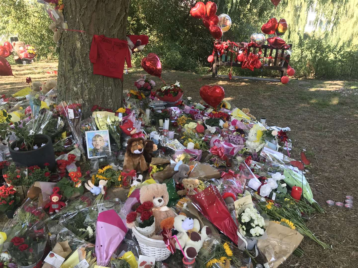 A red jumper has been tied to a tree in Sandwich where tributes to Lucas Dobson have been left