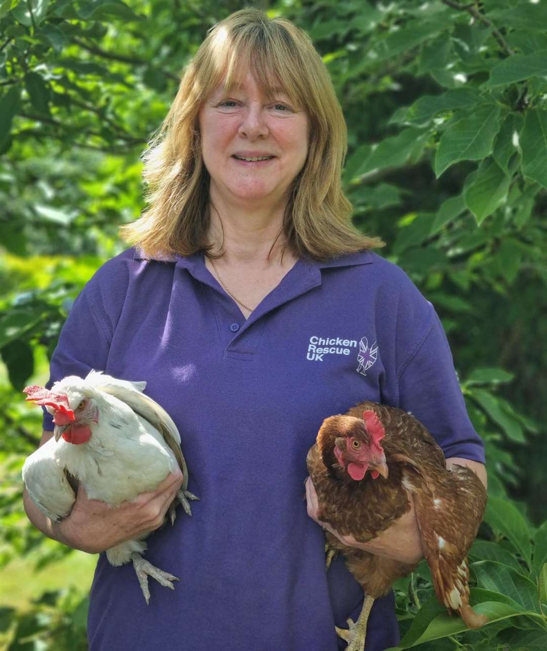 Linda volunteers for Chicken Rescue UK Swanley. Photo: Linda O'Mahony