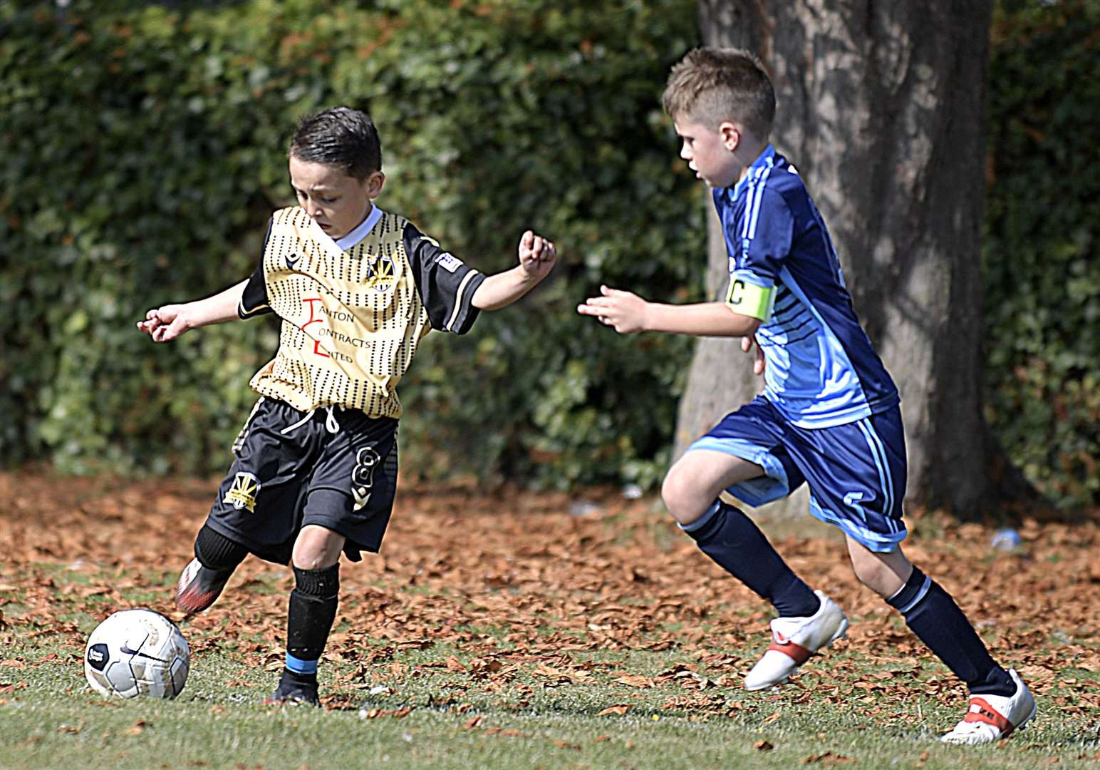 Valley View under-8s (gold) on the ball against Rochester City under-8s. Picture: Barry Goodwin (42223658)