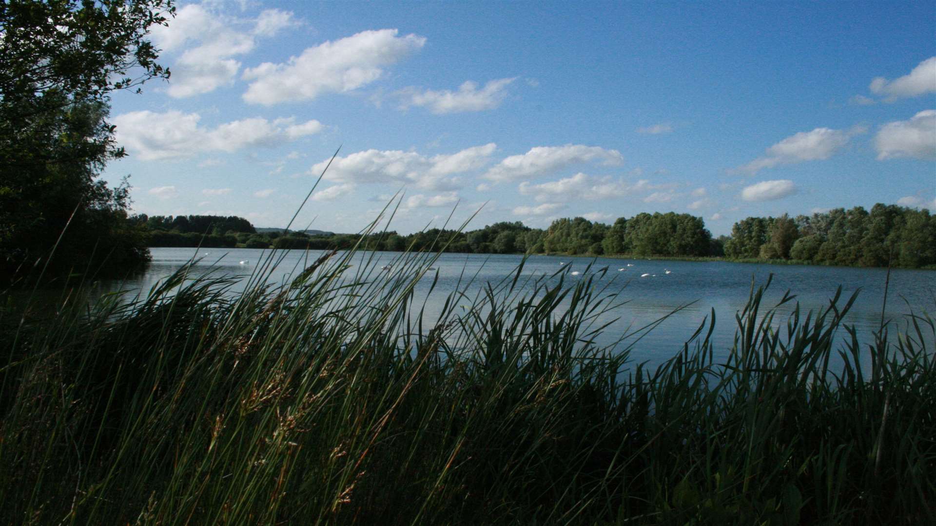 Conningbrook Lakes in Kennington