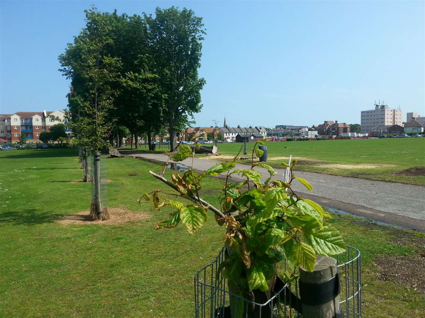 The incident took place in Memorial Park, Herne Bay, yesterday afternoon