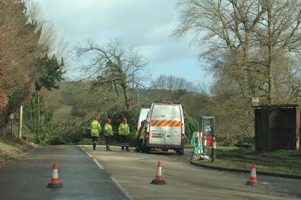 A tree blocks the road in Shalmsford Street, Chartham