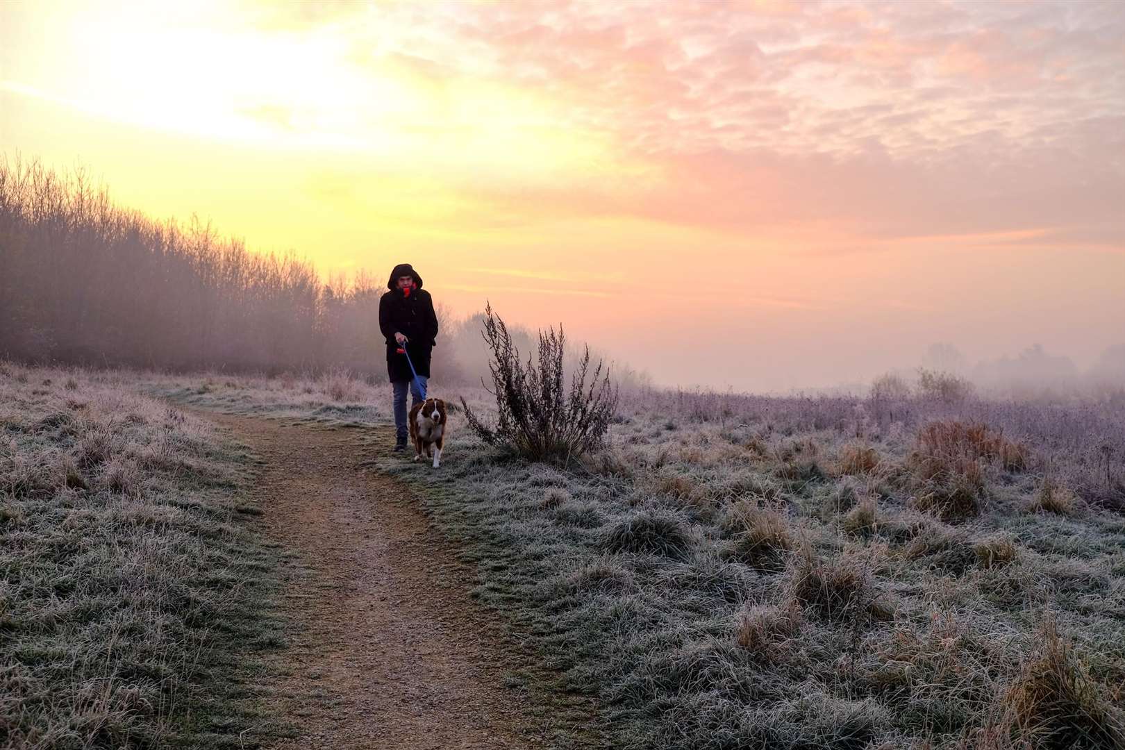 Kent woke up to a frosty start this morning and temperatures are forecast to stay low