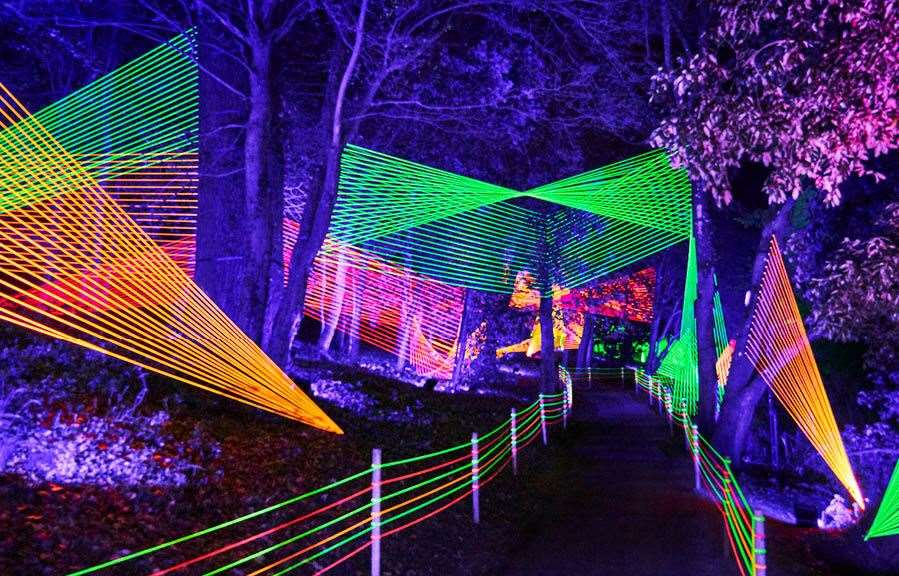 Christmas at Bedgebury features an illuminated trail