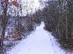 The snowy scenes today at Shorne Wood Country Park
