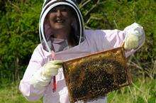 Beekeeper Sudi Austin