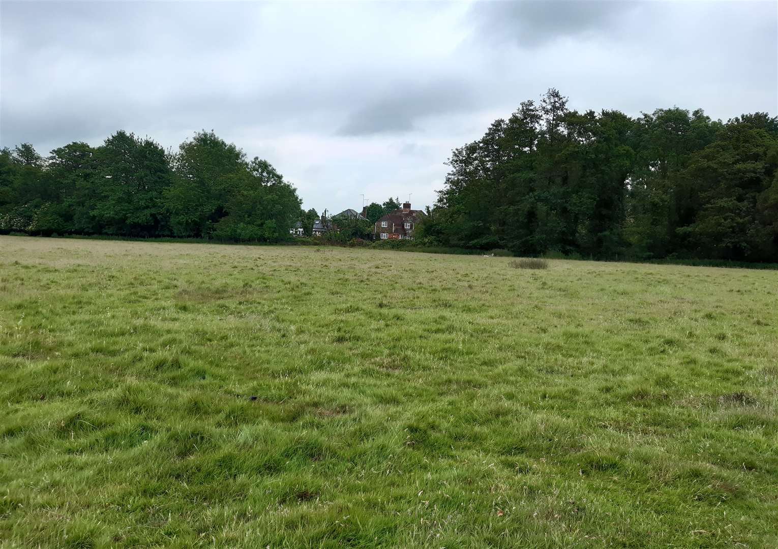 This part of a sheep field off Ball Lane will be turned into football pitches