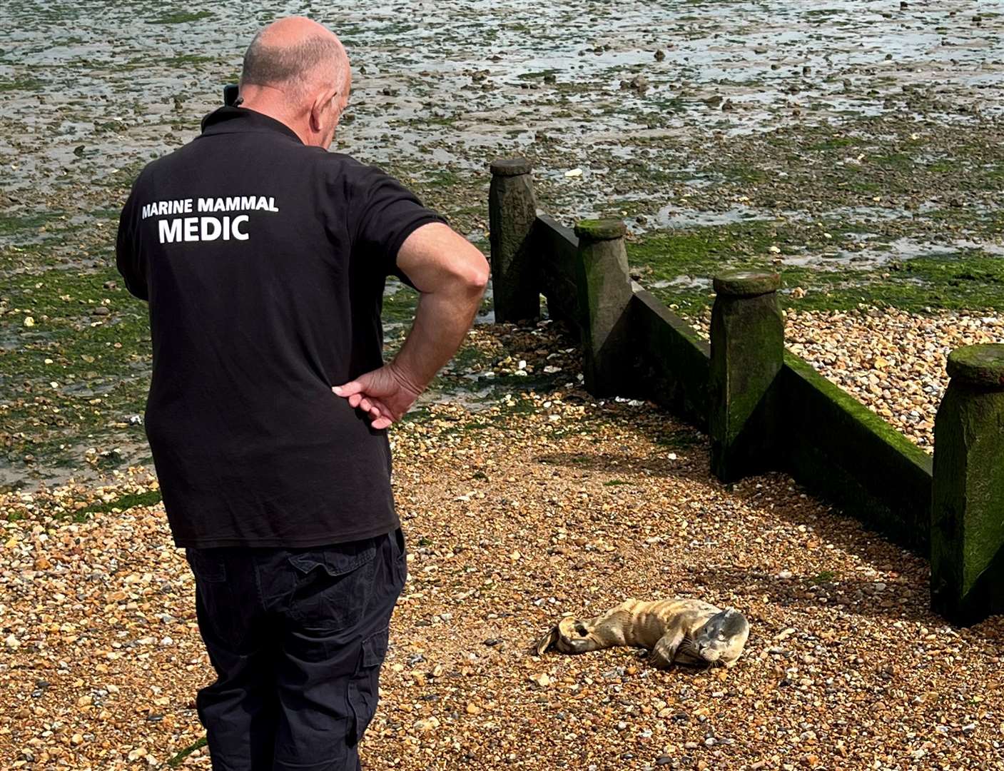 Wesley Baker says he is so glad the seal will make a recovery. Picture: Wesley Baker