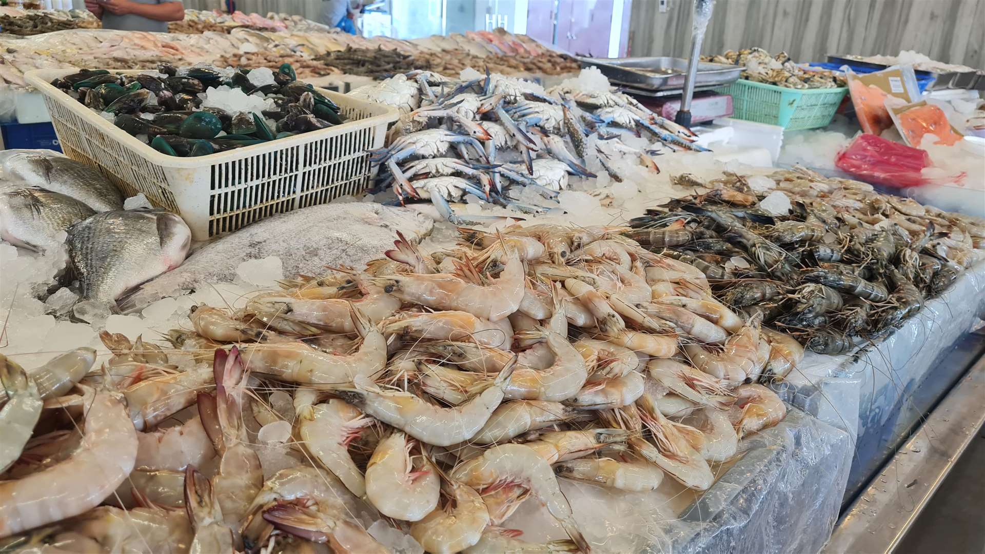 The Souq Al Bahar fish market in Jumeiriah