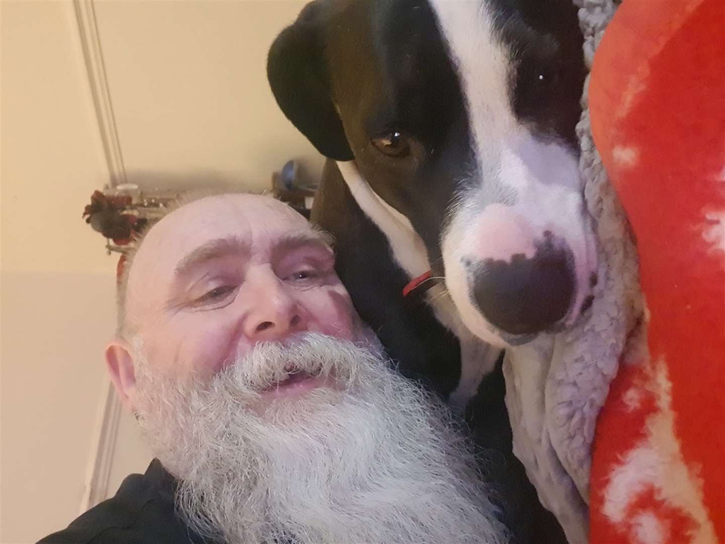 Jim Dixon and his beloved dog Misty