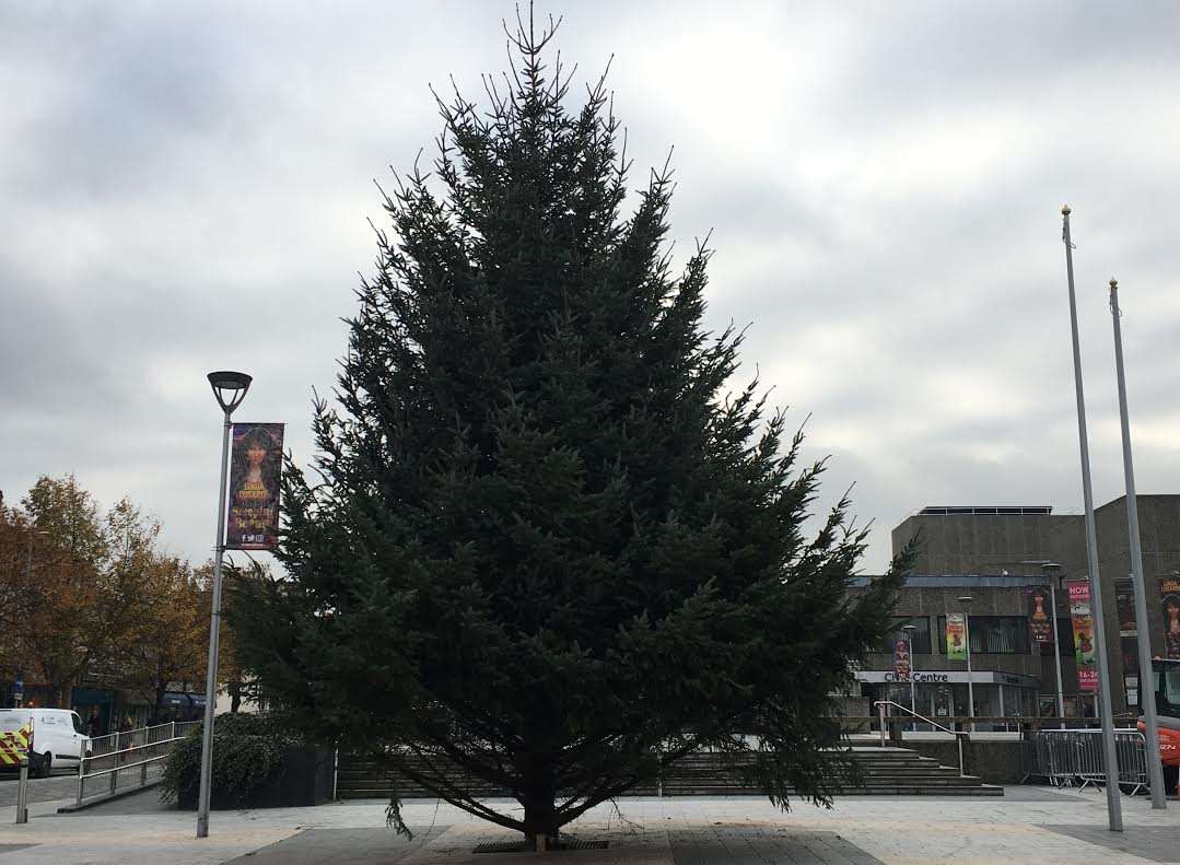 Gravesend's Christmas Tree