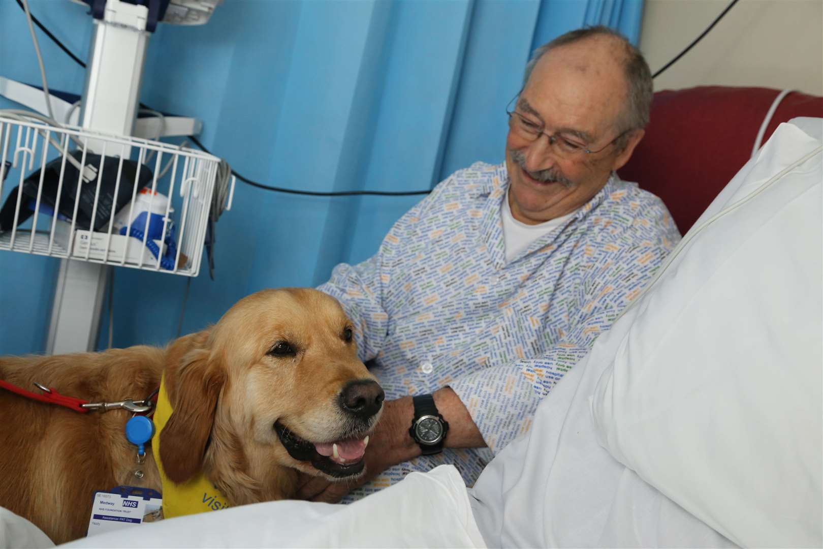 Yazzy the therapy dog with patient Ron Harvey at Medway Maritime Hospital (15326930)