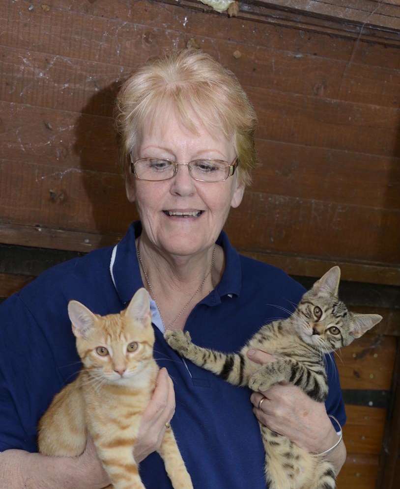 Clare Baumberg with two kittens who are ready to find homes.
