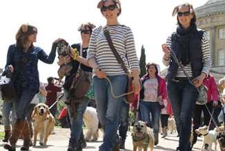 The Great British Dog Walk will be at Ightham Mote near Borough Green