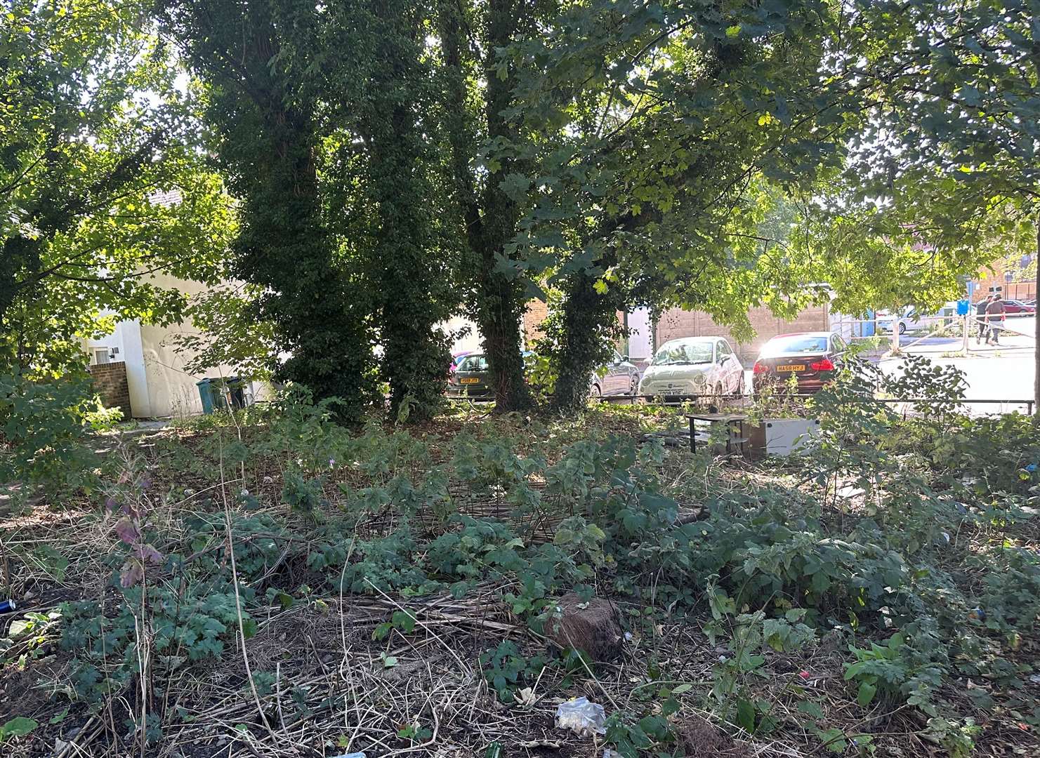 The disused scrap of land off Woollett Street could become a community garden