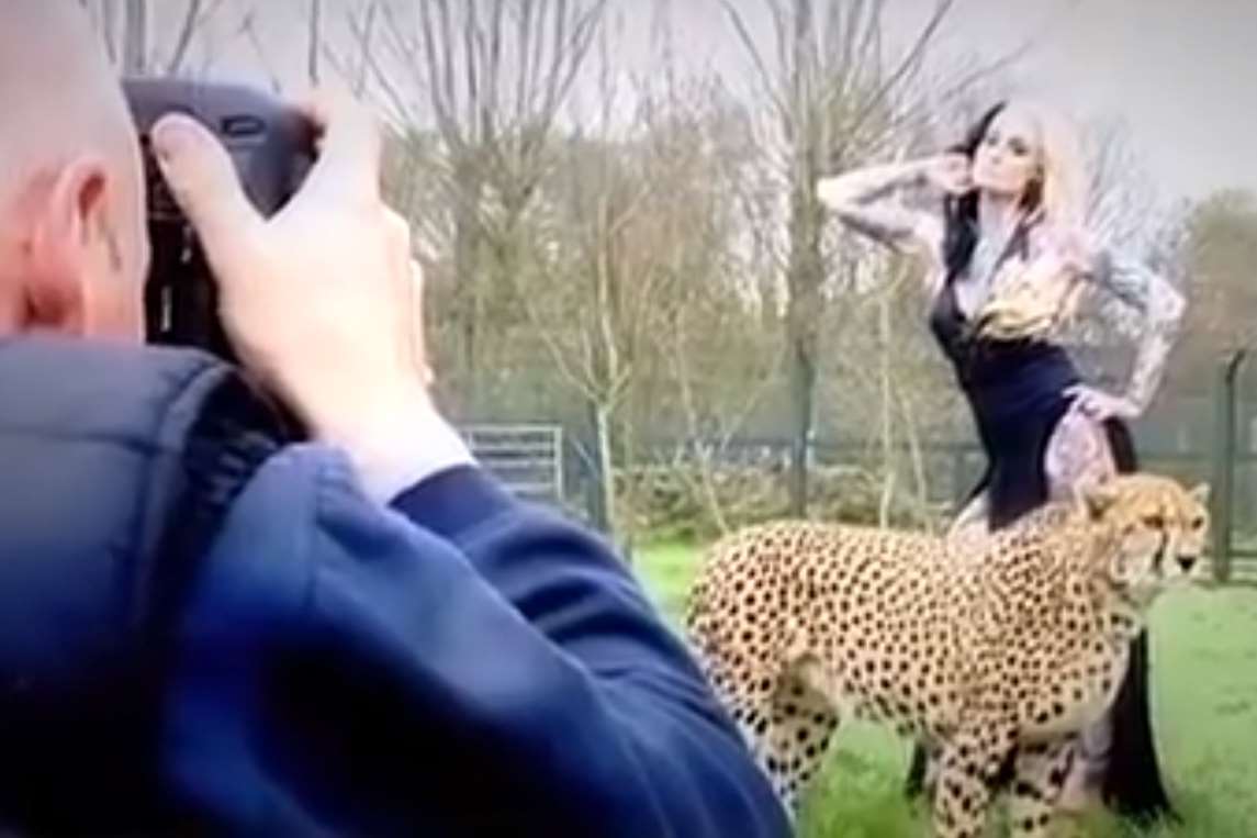 Model Lusy Logan poses for seductive pictures at the Wildlife Heritage Foundation's big cat sanctuary
