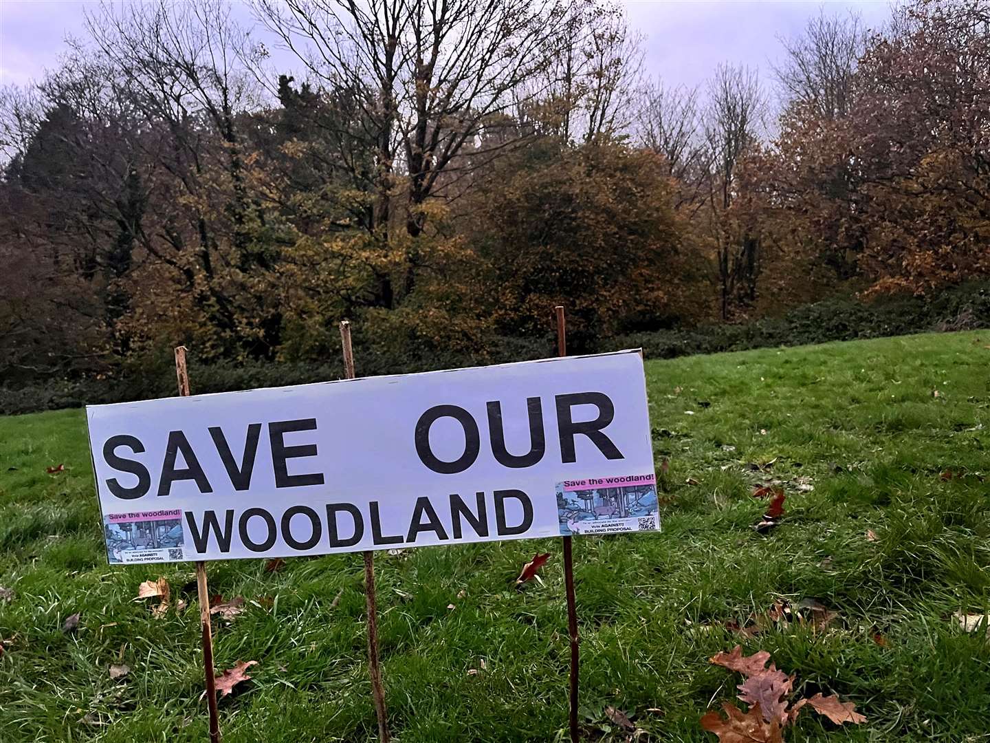 Residents are keen for the woodland, which is full of animals, to be preserved for future generations