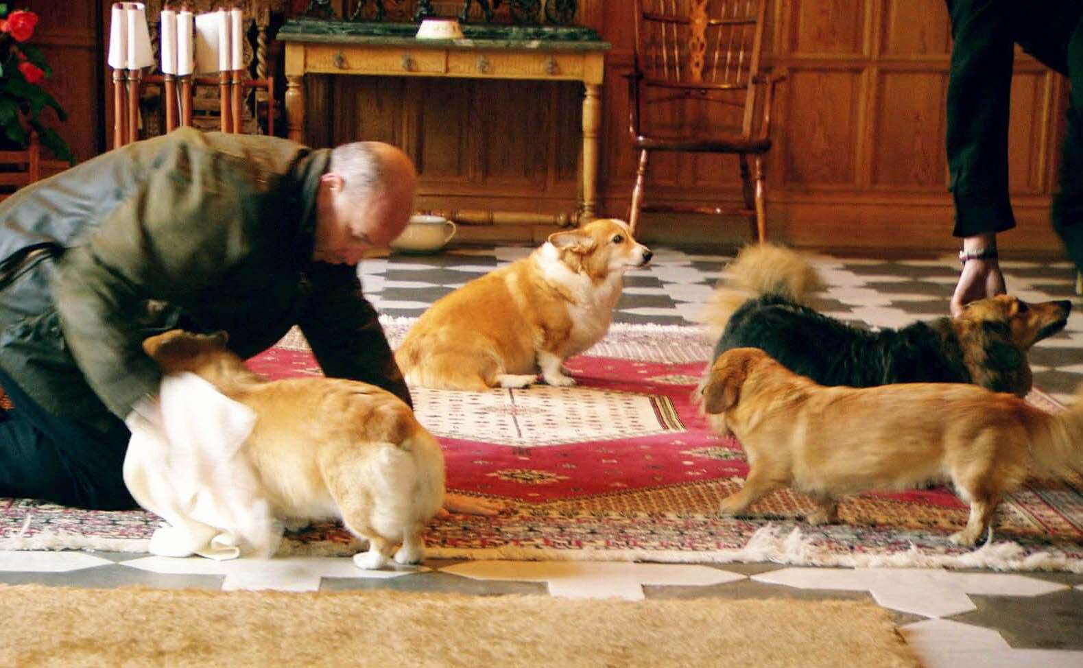 The Queen’s previous corgis being dried after a walk in Balmoral (Oxford Film and Television/PA)
