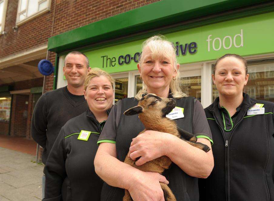 Animal charity jobs east anglia