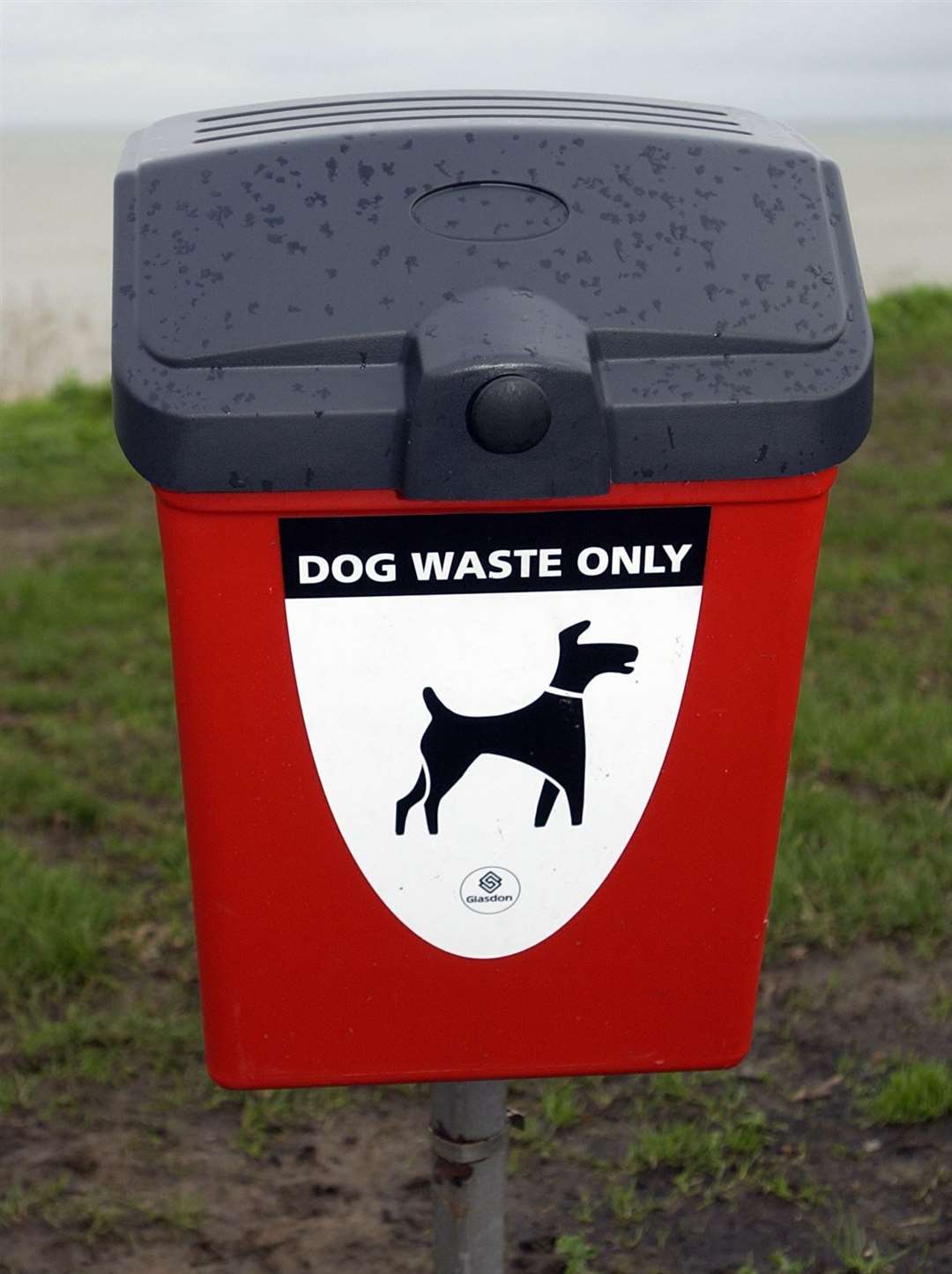 The council wants everyone to clean up after their pet