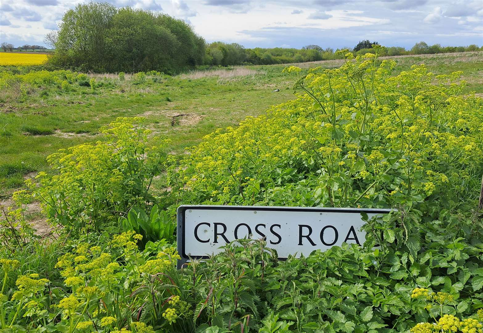 The other side of Cross Road in Deal, seen from the development site