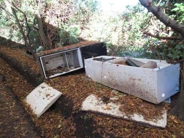 They have found industrial fridges dumped in the woodlands. Picture: Marion Rodgers