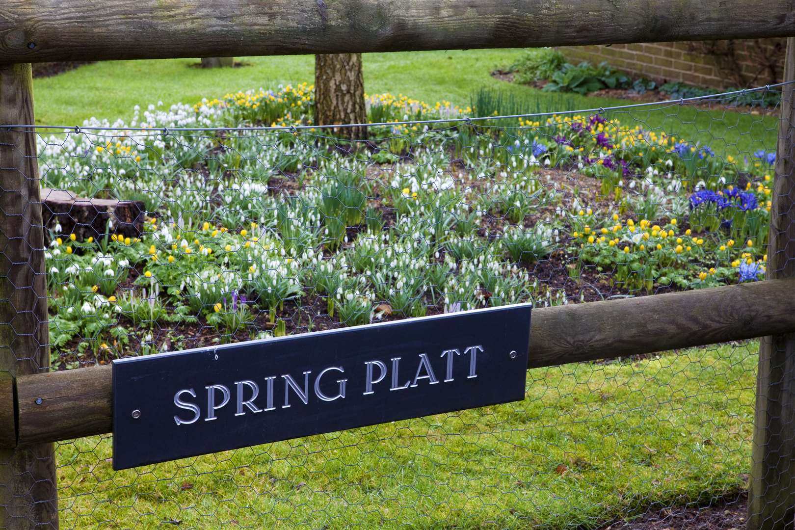 Spring Platt is one of the first snowdrop displays in the county to open this year. Picture: Leigh Clapp