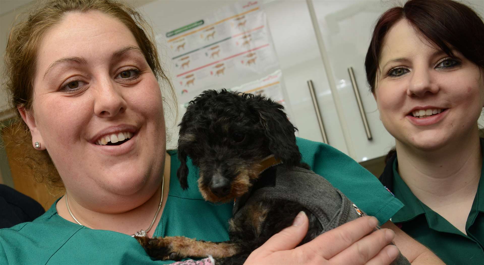 Veterinary nurses Rebecca Kelly and Denise Gardiner with Bella