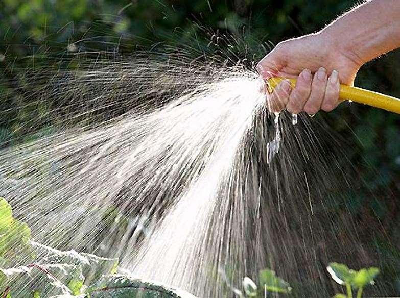 One correspondent believes the hosepipe ban should not apply to those growing vegetables