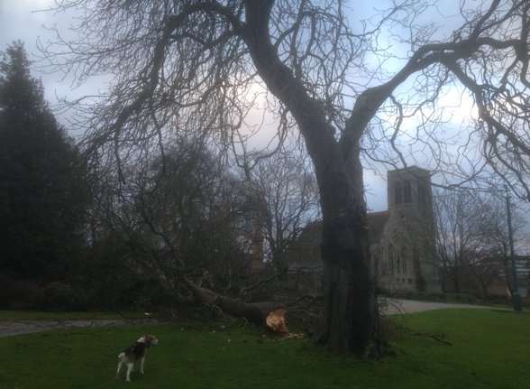 This was the scene in Brenchley Gardens, Maidstone. Picture: @FortifyCafe