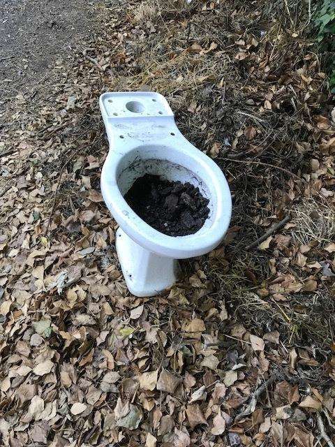 Discarded toilet at Old Charlton Road, Dover. Picture: Peter Sherred.