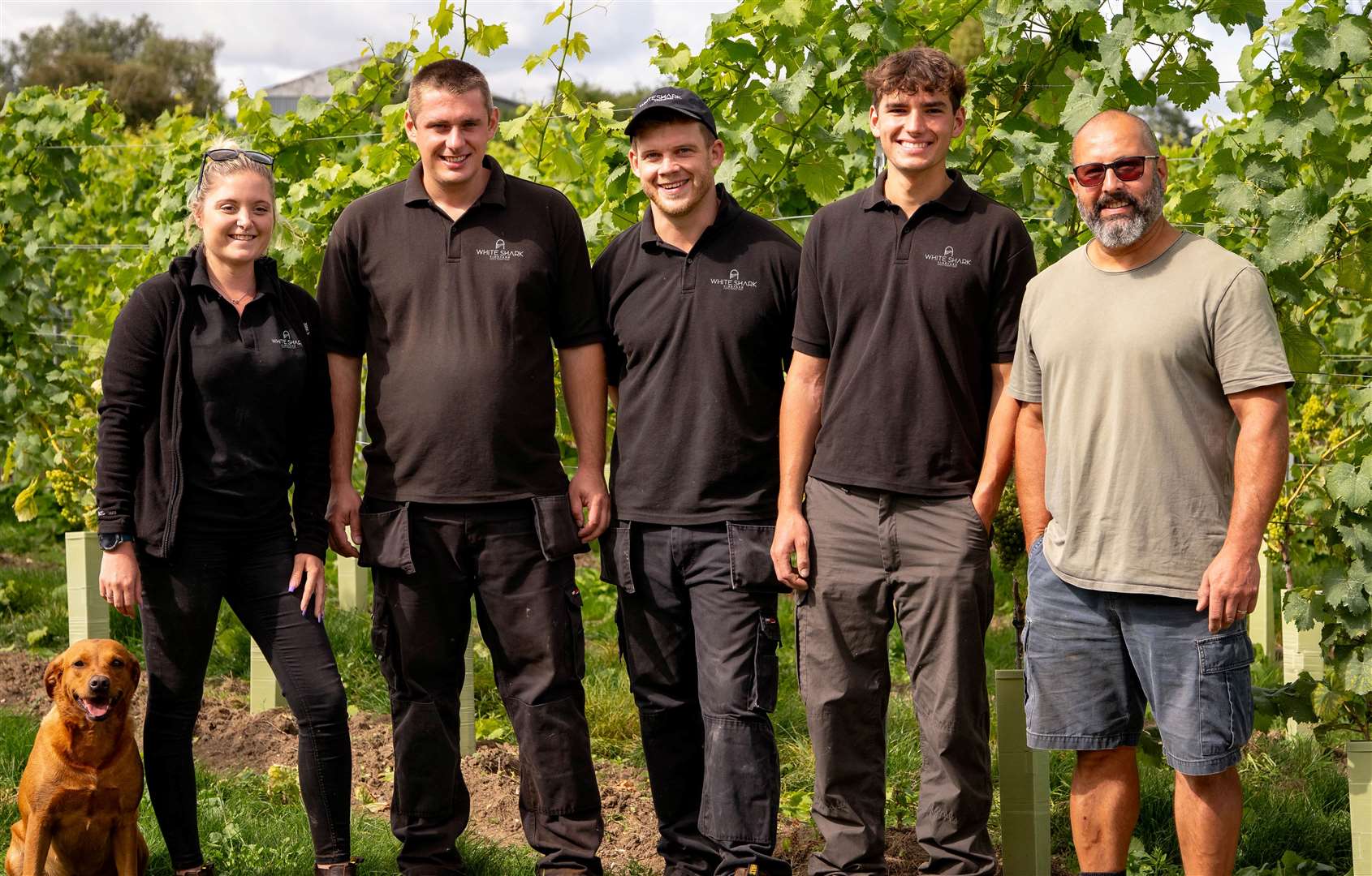 Staff at the recently opened Harrietsham vineyard. Picture: Elite Pubs/Wildshark Vineyard