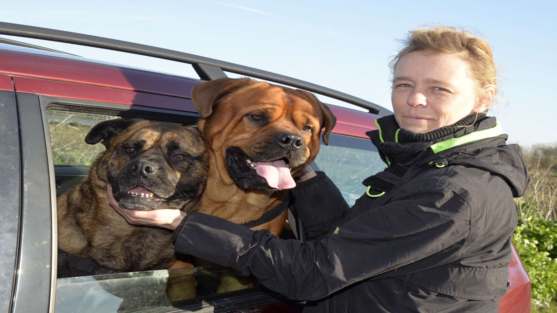 Helen Mcquilliams is living in her car with her two bull mastiffs