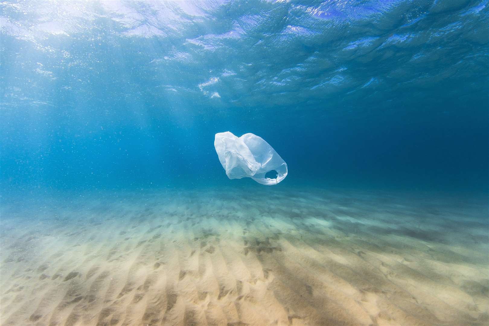 A plastic bag drifts in the clear blue ocean as a result of human pollution