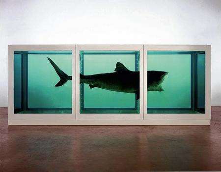 Damien Hirst's The Physical Impossibility of Death in the Mind of Someone Living 1991