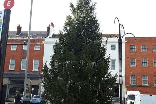 Last year's tree was called a shambles by one local