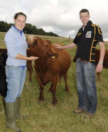 Caroline Tarrant and Alex Richards and some of their Dexter cows