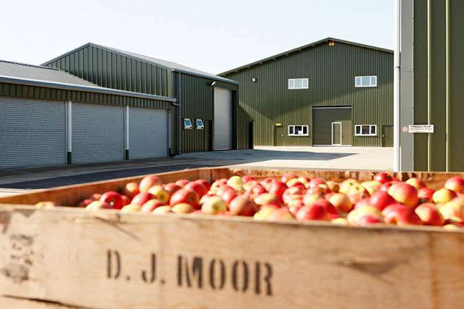 Moor Organic use hand picked apples from their farm