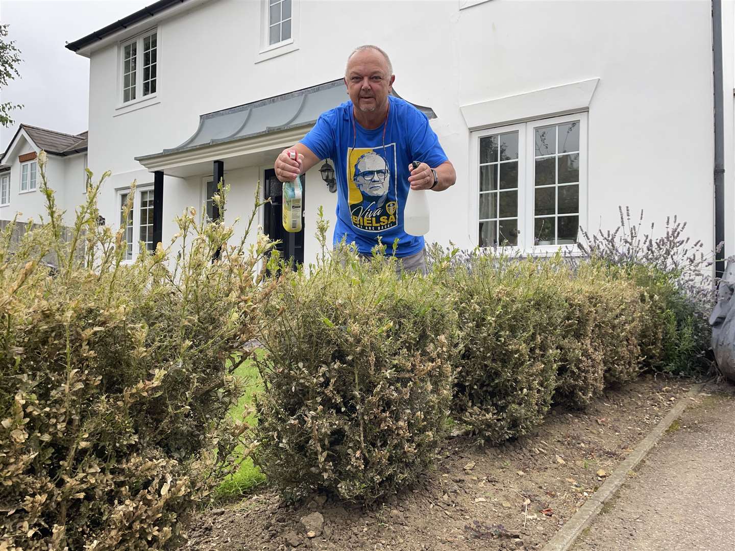 Paul Abell spraying his caterpillar-stripped hedge at Barming