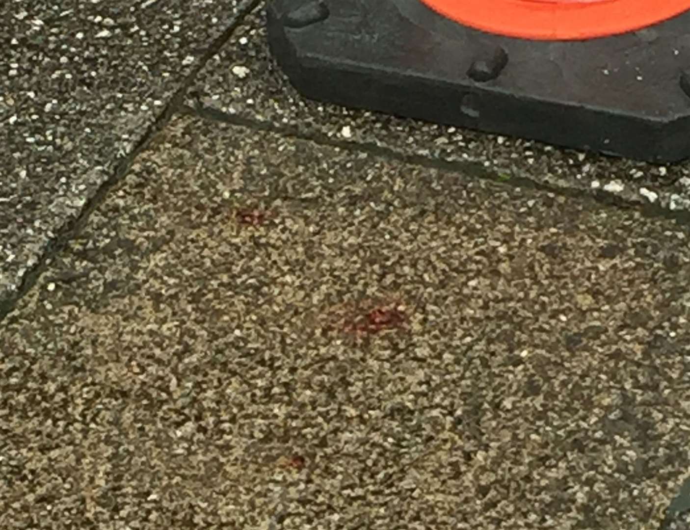 Blood can be seen on the floor (22574560)